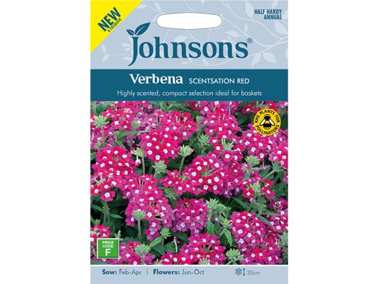 Verbena 'Scentsation Red' Seeds