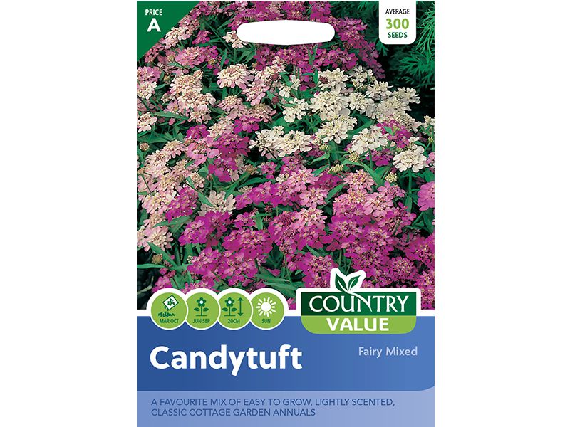 Candytuft 'Fairy Mixed' Seeds