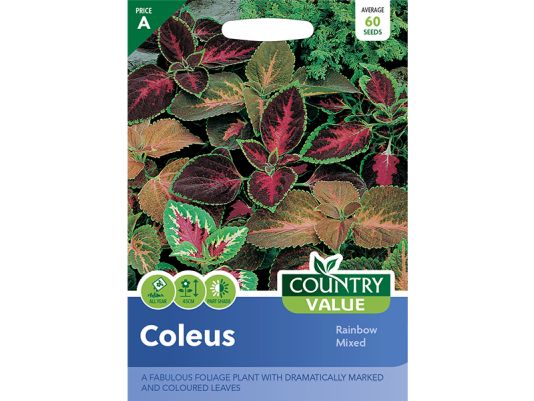 Coleus 'Rainbow Mixed' Seeds