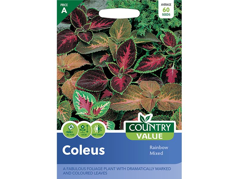 Coleus 'Rainbow Mixed' Seeds