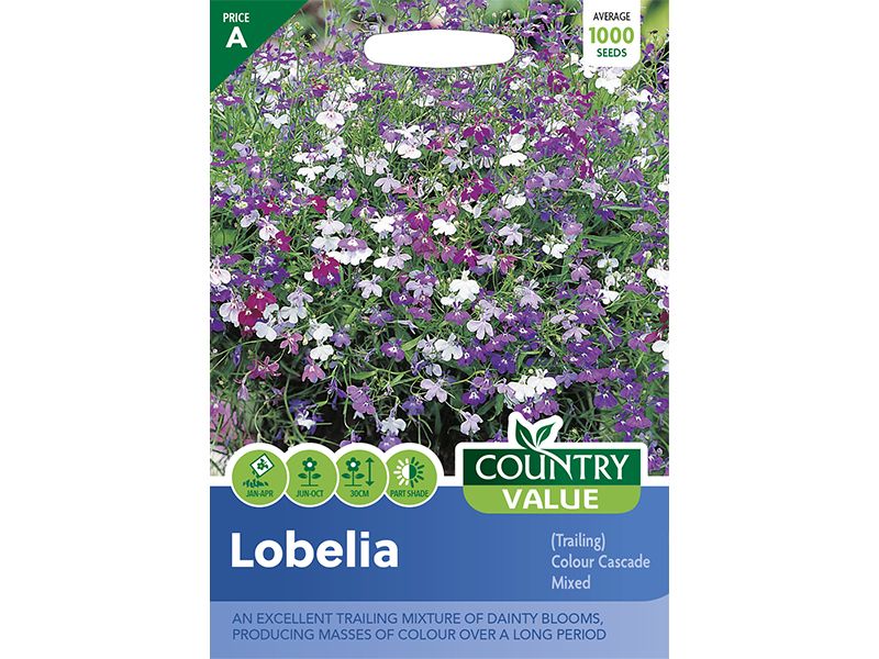 Lobelia (trailing) 'Colour Cascade' Mixed Seeds