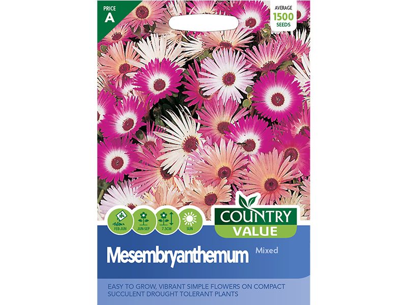 Mesembryanthemum 'Mixed' Seeds