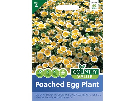 Limnanthes douglassi (Poached Egg Plant) Seeds