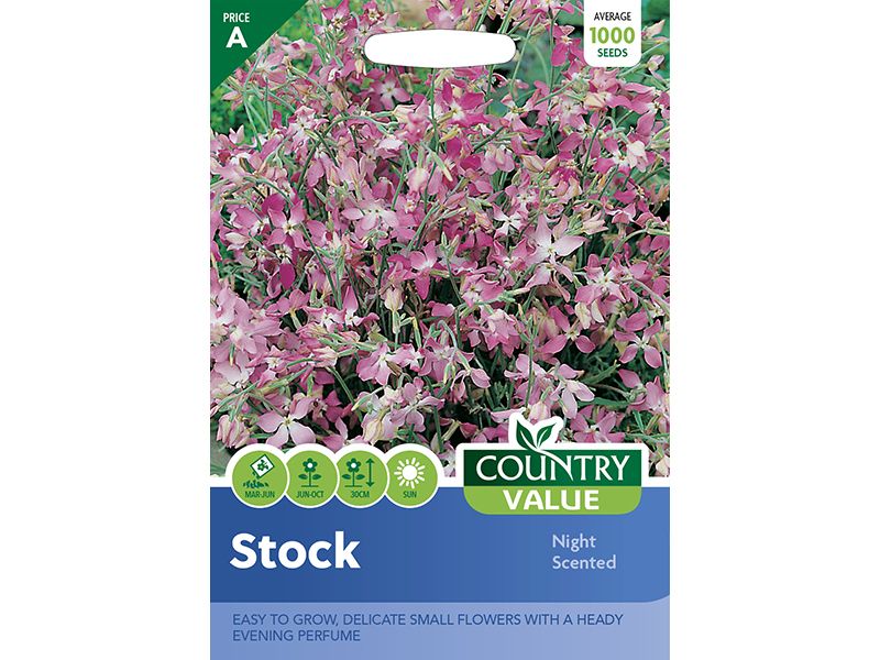 Stock 'Night Scented' Seeds