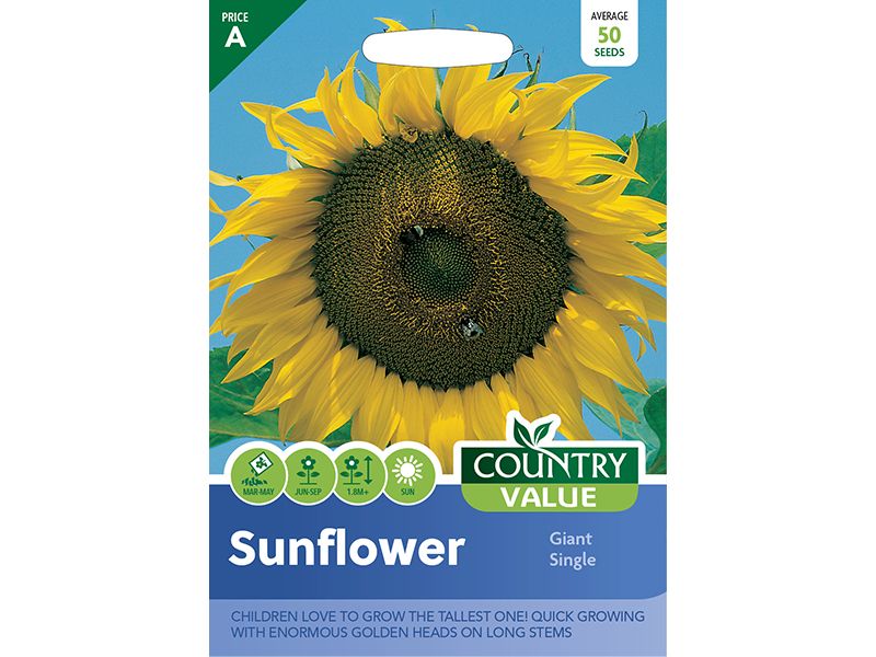 Sunflower 'Giant Single' Seeds