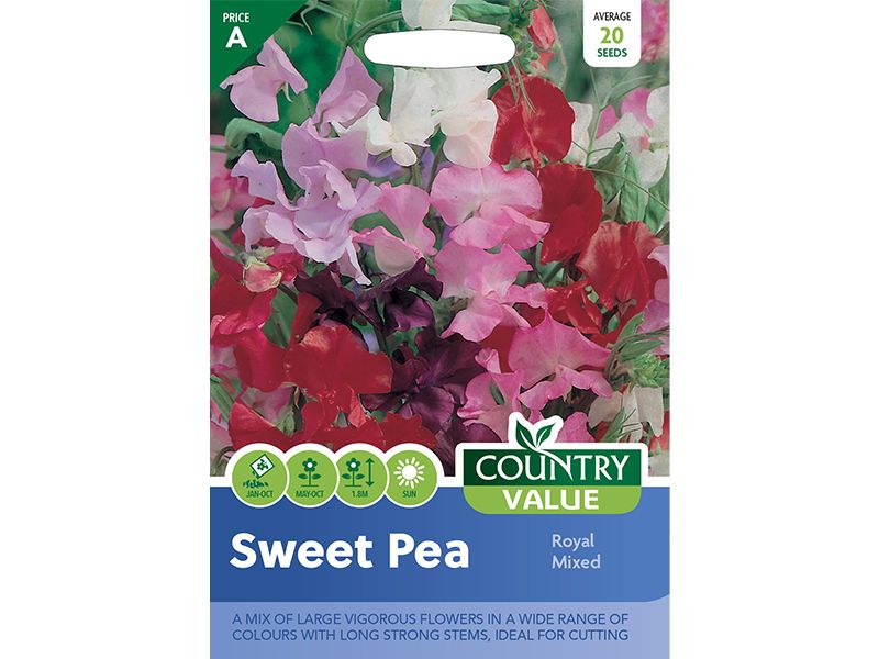 Sweet Pea 'Royal Mixed' Seeds