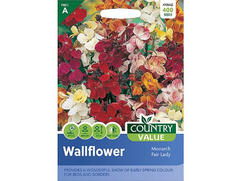 Wallflower 'Monarch Fair Lady' Seeds