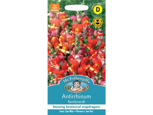 Antirrhinum 'Rembrandt' Seeds