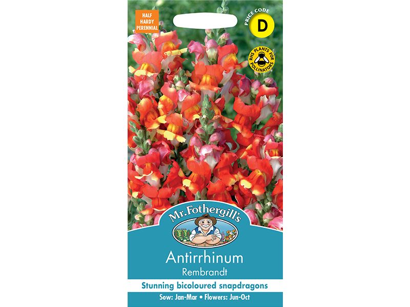 Antirrhinum 'Rembrandt' Seeds