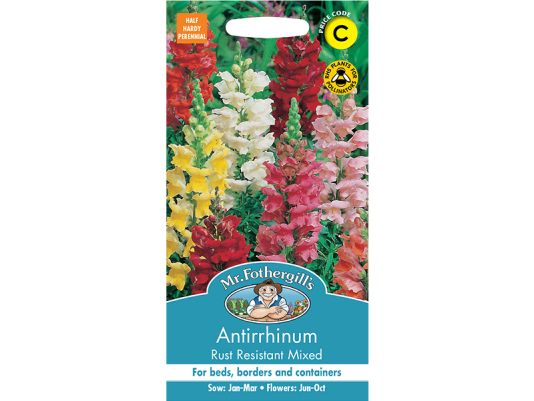 Antirrhinum 'Rust Resistant Mixed' Seeds