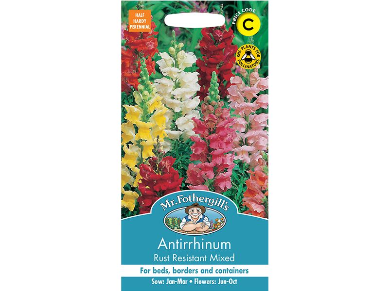 Antirrhinum 'Rust Resistant Mixed' Seeds