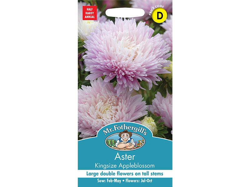 Aster 'Kingsize Appleblossom' Seeds