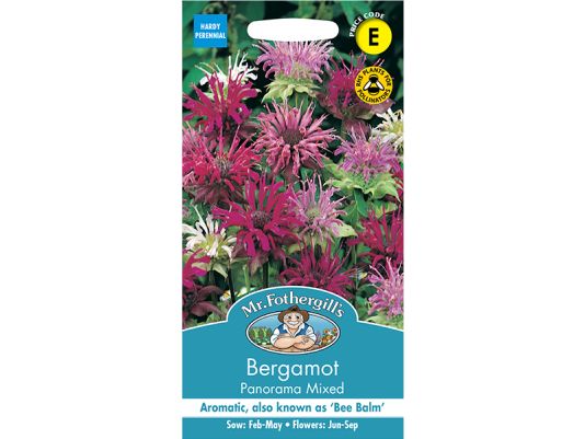 Bergamot 'Panorama Mixed' Seeds