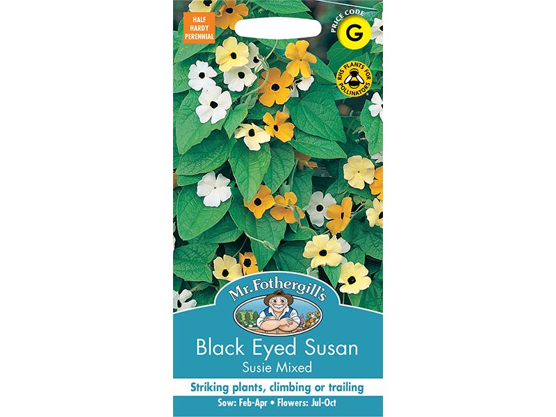 Thunbergia (Black Eyed Susan) 'Susie Mixed' Seeds