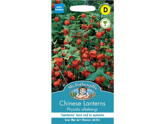 Physalis Alkekengi (Chinese Lanterns) Seeds