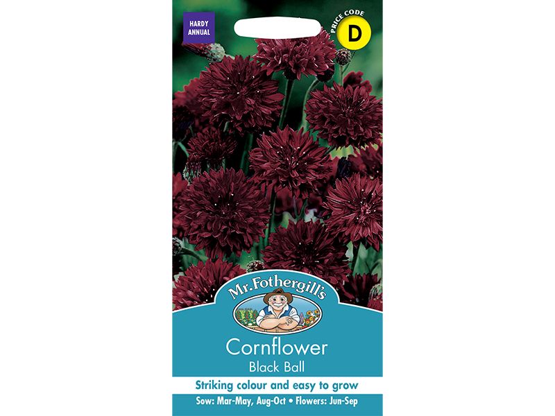 Cornflower 'Black Ball' Seeds