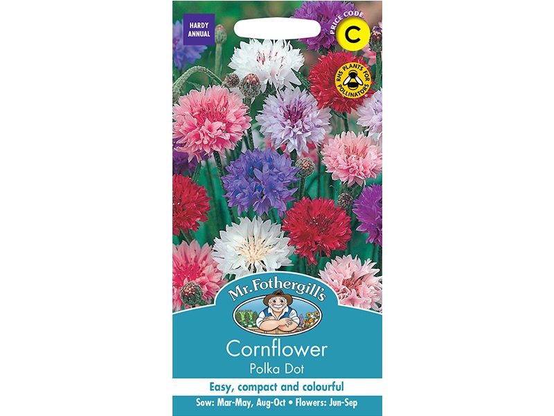 Cornflower 'Polka Dot' Seeds