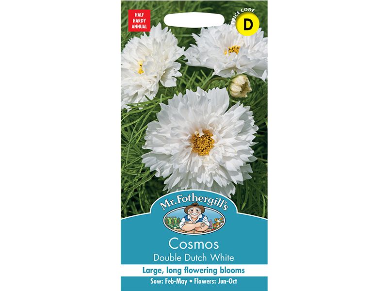 Cosmos 'Double Dutch White' Seeds