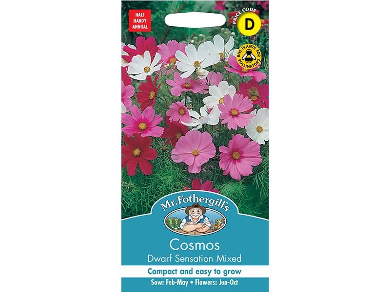 Cosmos 'Dwarf Sensation Mixed' Seeds