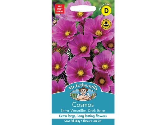 Cosmos 'Tetra Versailles Dark Rose' Seeds