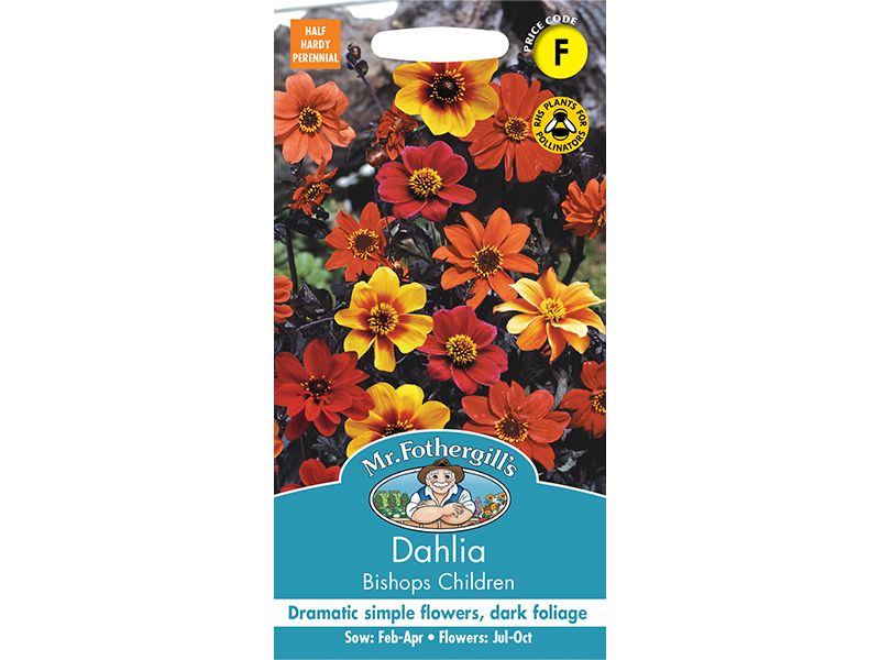 Dahlia 'Bishops Children' Seeds