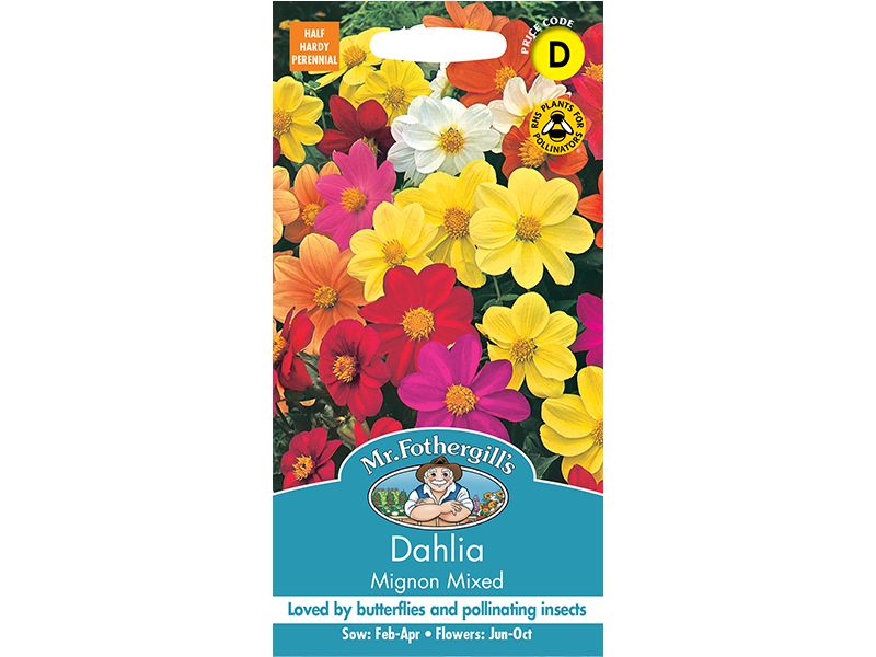 Dahlia 'Mignon Mixed' Seeds