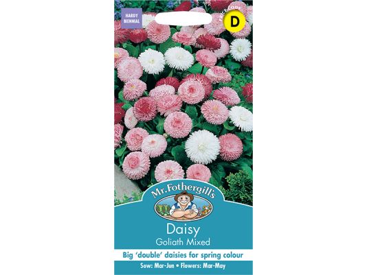 Daisy 'Goliath Mixed' Seeds