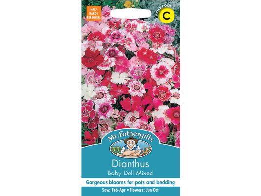 Dianthus 'Baby Doll Mixed' Seeds