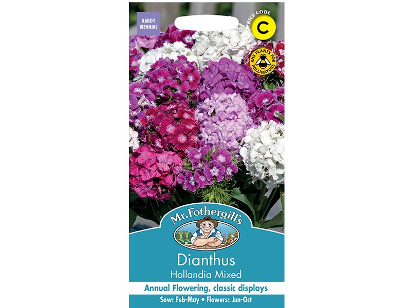 Dianthus 'Hollandia Mixed' Seeds