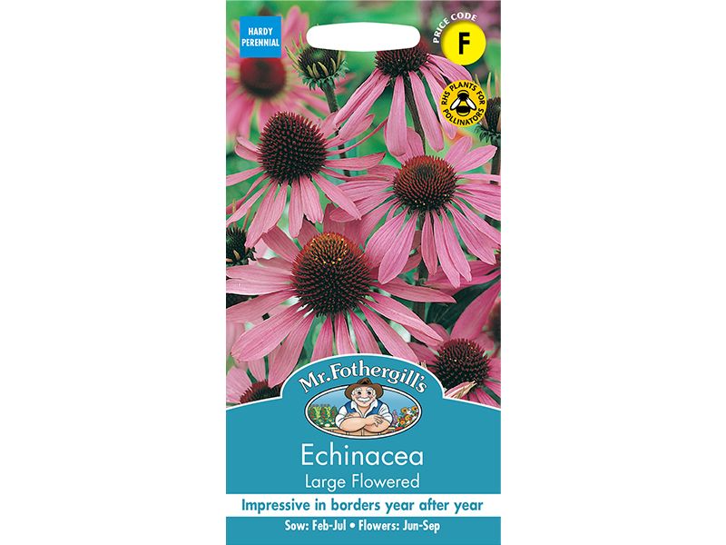 Echinacea 'Large Flowered' Seeds