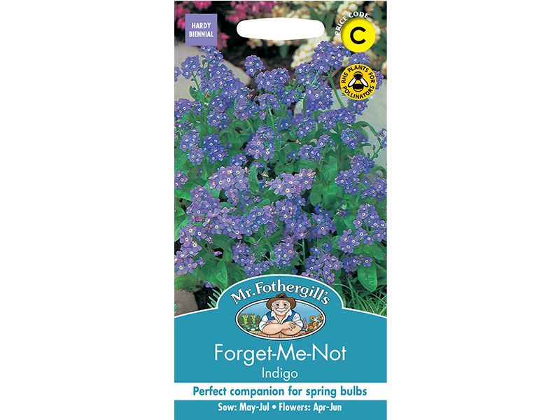 Forget Me Not 'Indigo' Seeds