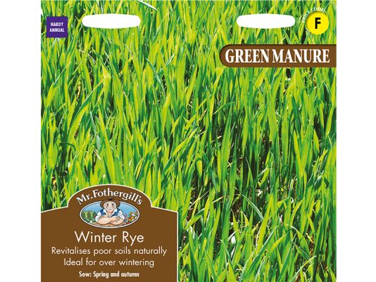 Green Manure Winter Rye Seeds