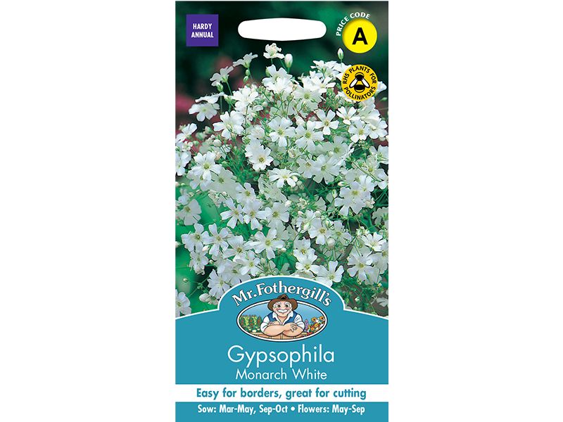 Gypsophila 'Monarch White' Seeds