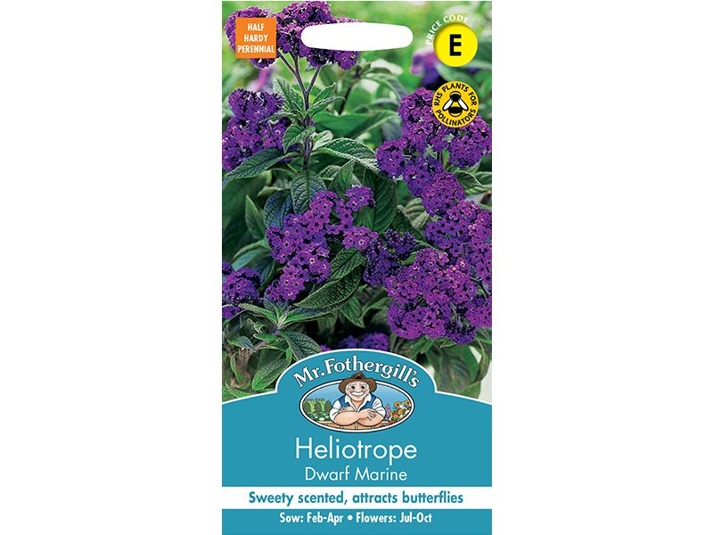 Heliotrope 'Dwarf Marine' Seeds