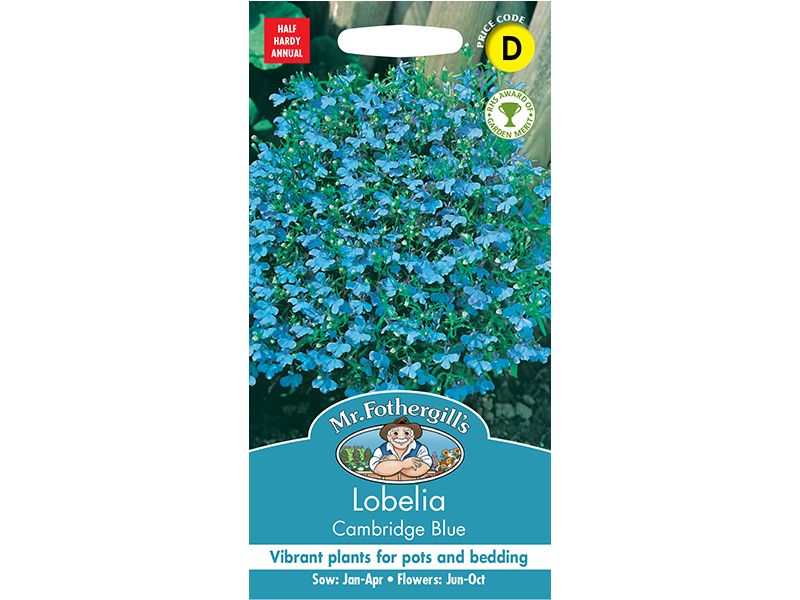 Lobelia (upright) 'Cambridge Blue' Seeds