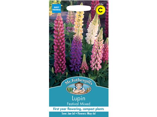 Lupin 'Festival Mixed' Seeds