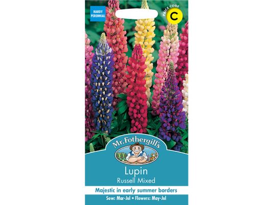 Lupin 'Russell Mixed' Seeds