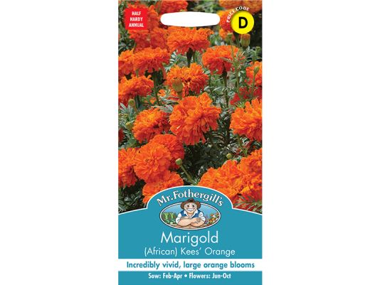 Marigold (African) 'Kees' Orange' Seeds