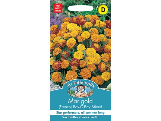 Marigold (French) 'Boy-O-Boy Mixed' Seeds