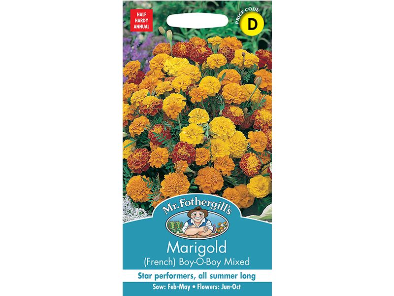 Marigold (French) 'Boy-O-Boy Mixed' Seeds