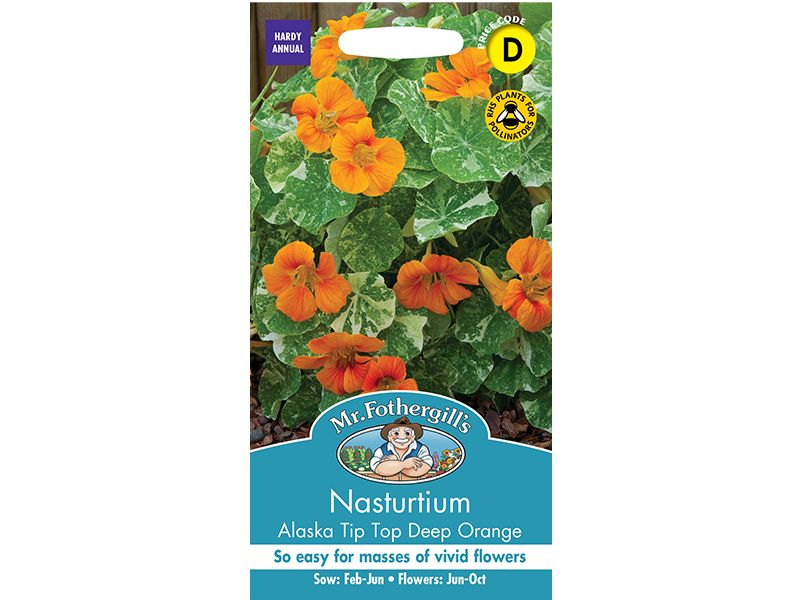 Nasturtium 'Alaska Tip Top Deep Orange' Seeds