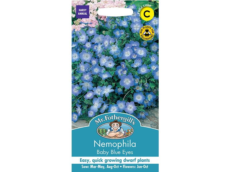 Nemophila 'Baby Blue Eyes' Seeds