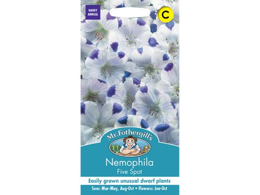 Nemophila 'Five Spot' Seeds