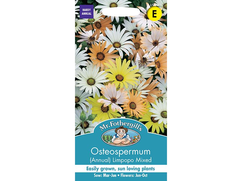 Osteospermum 'Limpopo' Seeds