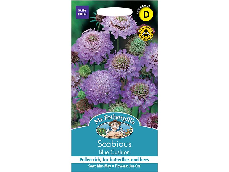 Scabious 'Blue Cushion' Seeds