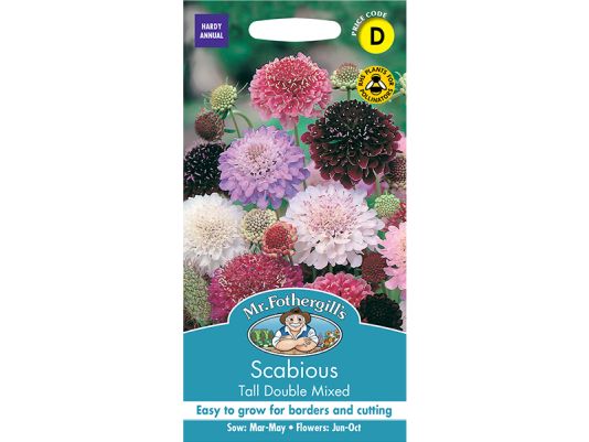 Scabious 'Tall Double Mixed' Seeds