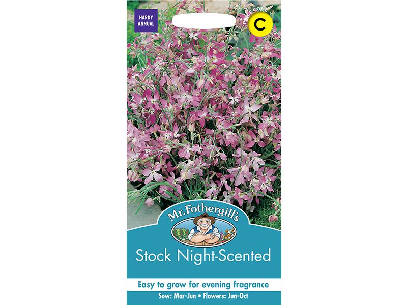 Stock 'Night Scented' Seeds