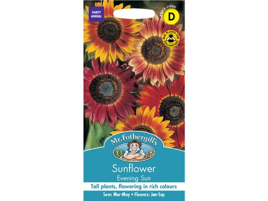 Sunflower 'Evening Sun' Seeds