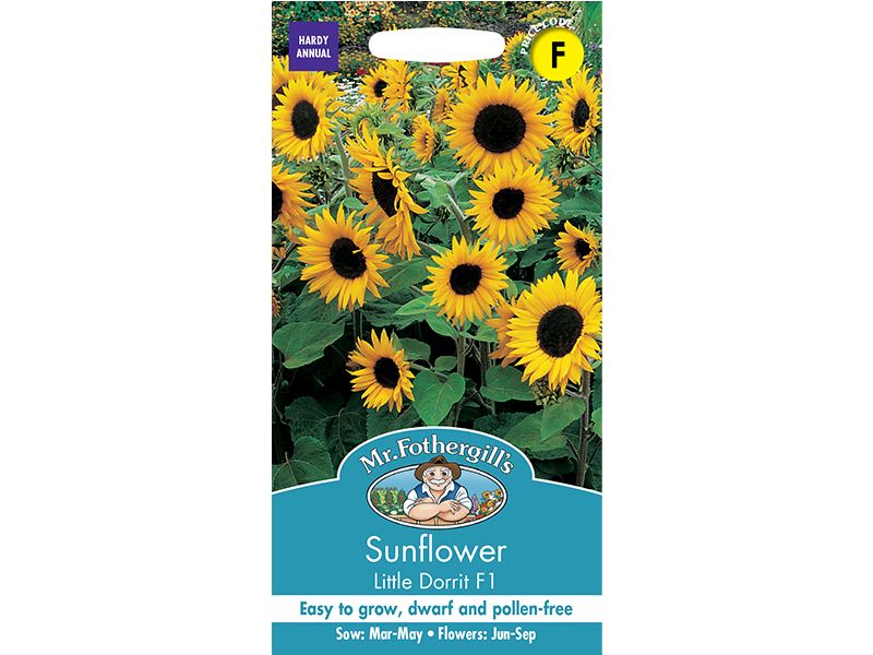 Sunflower 'Little Dorrit' F1 Seeds