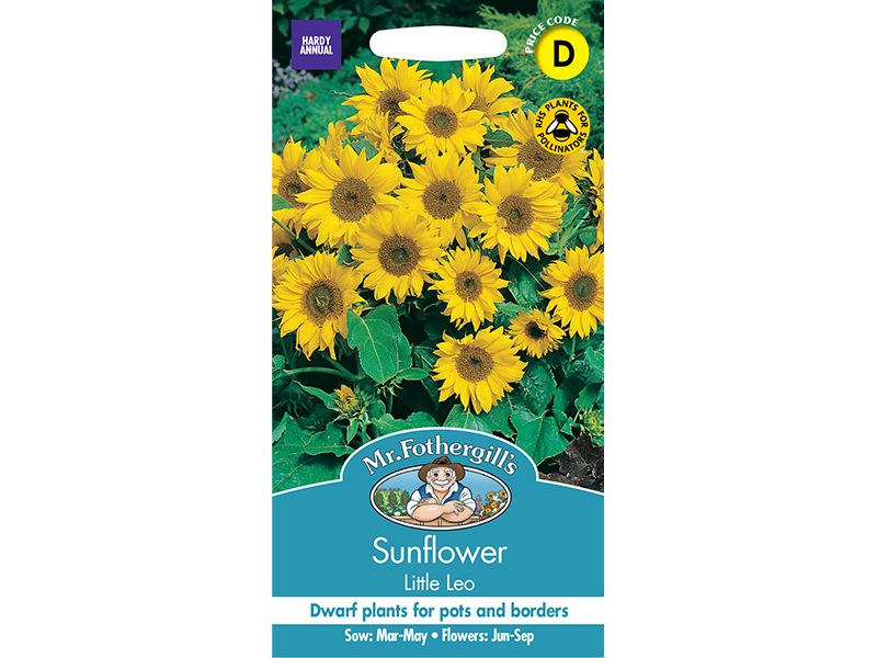 Sunflower 'Little Leo' Seeds